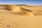Footprints of a boy tourist walking on Sand dunes, SAM dunes of
