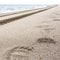 Footprints of brown bear and tire tracks on the sand. Kamchatka, Russia