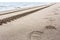 Footprints of brown bear and tire tracks on the sand. Kamchatka, Russia