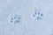 Footprints cat