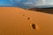 Footprints, Coral Pink Sand Dunes