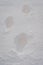 Footprints in a deep snow in winter