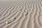 Footprints in the desert sand