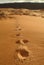 Footprints in desert sands