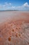 Footprints on a dried pink salt lake vertical