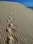 Footprints on dune