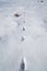 Footprints in freshly fallen snow