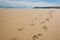 Footprints of hiking boots on the sand of a remote beach