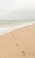 Footprints leading into North Atlantic waters on barrier island