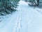 Footprints of a man walking in the snow of a winter forest