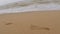 Footprints marks on the sea shore beach walking waves hitting ocean