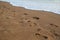 The footprints of peoples and dogs on the sand beach near to sea.