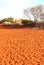 Footprints in the red centre of Austalian desert