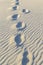 Footprints In The Sand