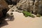 Footprints in sand on beach in Baleal