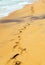 Footprints in the sand beach road