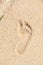 Footprints in sand at the Beach Textured wet sand beach background