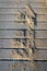 Footprints in sand on a board walk