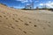 Footprints on the sand dune background landscape with autumn leaf colour and blue sky