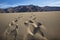 Footprints on sand dune. Death Valley.