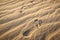 Footprints on sand dune. Death Valley.