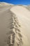 Footprints On Sand Dune Ridge