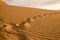 Footprints on a sand dune at Valle de la Muerte