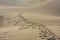 Footprints on Sand Dunes