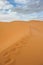 Footprints in sand dunes of Erg Chebbi, Morocco