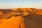 Footprints in the Sand Dunes - Sahara, Libya