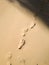 Footprints at sand, foot of woman and man.