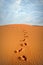 Footprints in the sand in the Sahara Desert