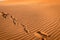 Footprints in the sand, Sahara, Merzouga, Morocco