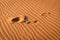 Footprints in the sand, Sahara, Merzouga, Morocco