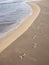 Footprints in the sand of the seashore