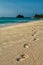 Footprints in the Sands of Zanzibar