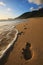 footprints on a sandy beach on Lord Howe Island in Australia