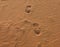 Footprints on sandy desert