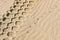 Footprints of seabirds and the wheel of a vehicle in the sand of the beach