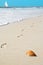 Footprints and Shell on Beach