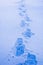 Footprints in Snow