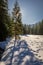 Footprints on snow and forest in Koscieliska valley in Tatras