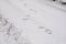 Footprints on the snow. Imprint of an adult man& x27;s footwear on a