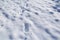 Footprints in Snow-Landscape