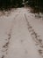 Footprints in the snow in rural areas