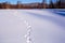 Footprints in the snow. The Urals landscape
