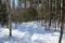 Footprints on a snowy trail in the forest after a record-breaking snowfall in Nova Scotia Canada