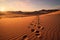 Footprints tell the story of natures visit on a sand dune