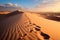 Footprints tell tales natures imprints on a tranquil sand dune