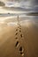 footprints trailing off into the distance on a sandy beach